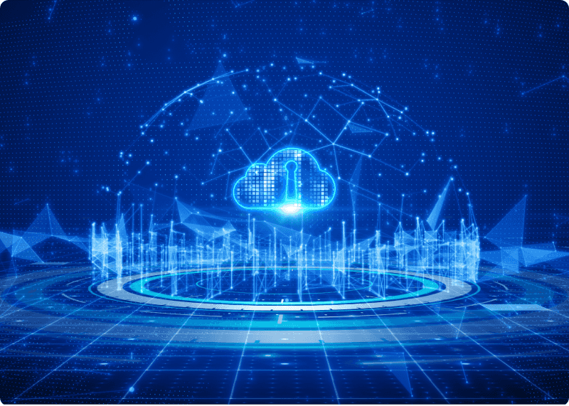 Security Features of Oracle HCM
