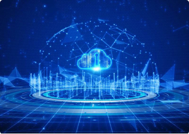 Security Features of Oracle HCM